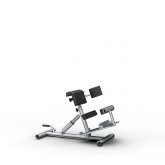 Скамья для гиперэкстензии Proxomed Compass MTT Trunk Trainer Combi в Казани