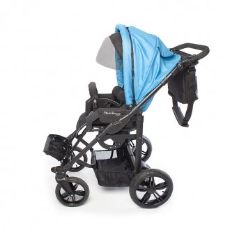 Детская прогулочная коляска ДЦП Liwcare Modi Buggy на раме Rico в Казани