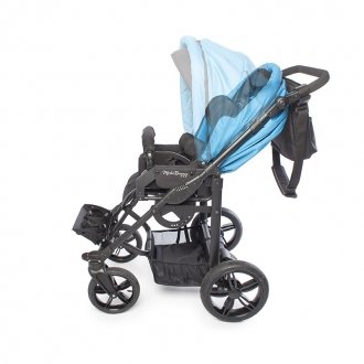 Детская прогулочная коляска ДЦП Liwcare Modi Buggy на раме Rico в Казани