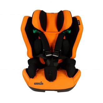 Детское автомобильное кресло ДЦП Thomashilfen RECARO Axion 1 Reha в Казани