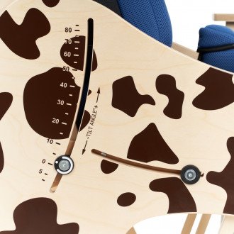 Детская комнатная кресло-коляска Akcesmed Dalmatian Invanto Dt-2 в Казани
