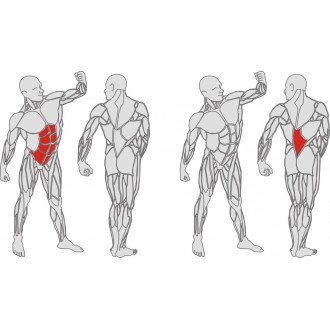 Тренажёр механотерапевтический для мышц пресса и спины Hur Rehabilitation 5310 в Казани
