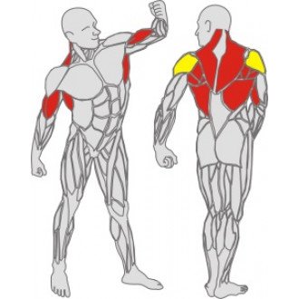 Тренажёр механотерапевтический для рук и спины Hur Rehabilitation 5175 в Казани