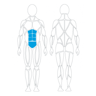 Тренажёр механотерапевтический для пресса David Abdominal Crunch G130 в Казани