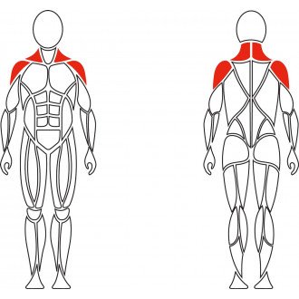 Тренажер механотерапевтический David Shoulder Concept F620 разведение рук в стороны в Казани